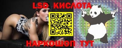 крисы Гусев