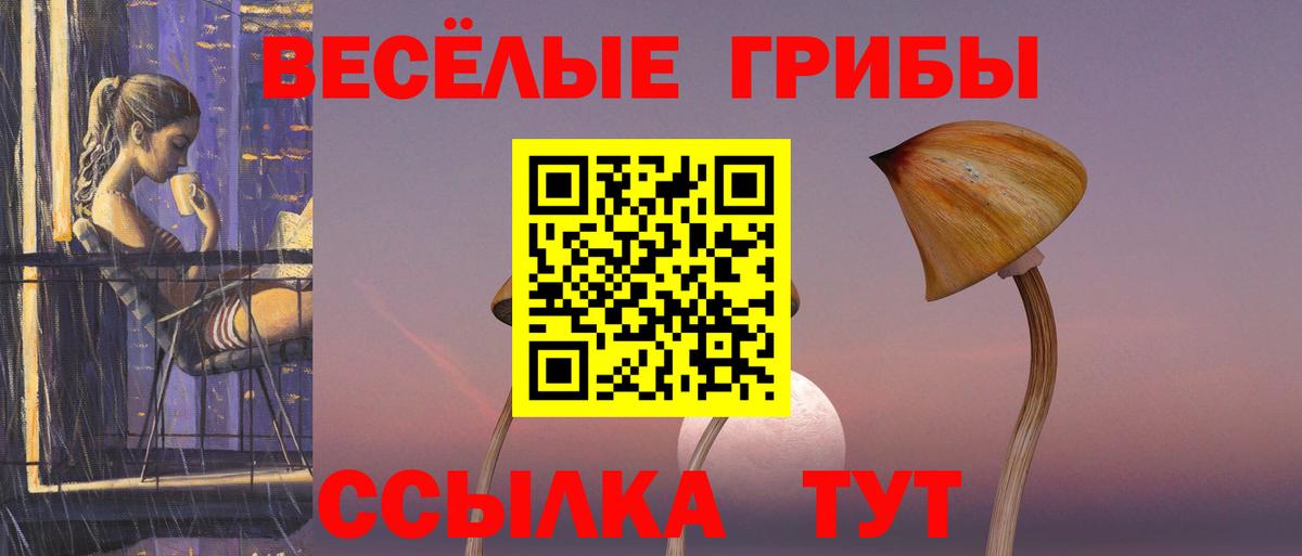 Псилоцибиновые грибы Psilocybe Набережные Челны